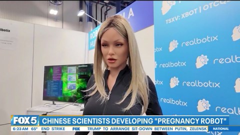 Scientists in China develop pregnancy robot