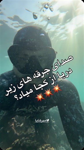 ‎امیر هایا‎ on Instagram‎: "⁨ زیر همین چند سانتی‌متر شن در خلیج فارس، یکی از عجیب‌ترین همکاری‌های دنیای جانوران در جریانه… گابی، چشم مراقب ماسه‌هاست و کنار اون میگوی تپانچه‌ای، مهندس زیر زمینه. گابی خطر رو زودتر می‌بینه و با یک حرکت دم خبر می‌ده. میگو هم بی‌وقفه لانه رو می‌سازه و ترمیم می‌کنه؛ اینجا خبری از تقسیم غذا نیست… تقسیم مسئولیت و بقاست. اون صدای ریز جرقه‌هایی که زیر آب می‌شنوید؟ ضربه ناگهانی چنگک همین میگوست که موج شوک می‌سازه؛ برای دفاع یا شکار. نه با قدرت میگوی منتیس جنگجو… بلکه با ظر