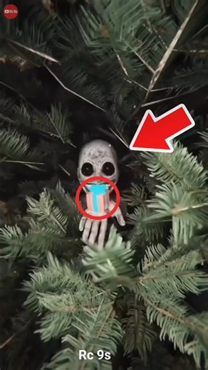 This Christmas Tree Creature Wants to ‘Give’ You Something… RUN 😱🎄