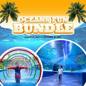 200K views · 369 reactions | Double the thrills, double the splashes,...