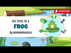 The frog life cycle|A journey of transformation|Fun learning for kids.