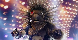 Who Is Robopine on The Masked Singer? We Get to the Point With These Ideas