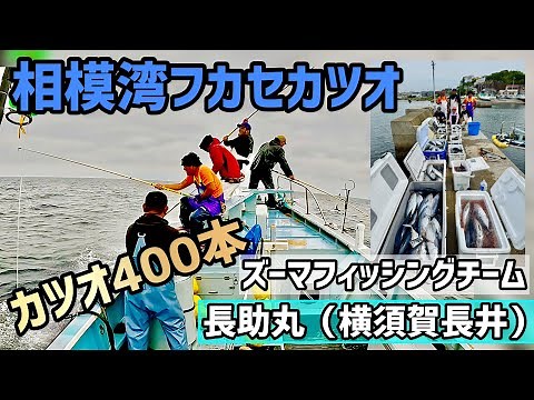 【相模湾カツオ】 船中400本 初がつお祭り 一本釣り スピニングタックル 長助丸 #146