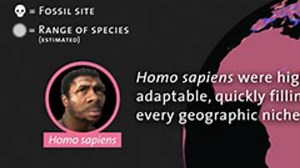 Seven million years of human evolution