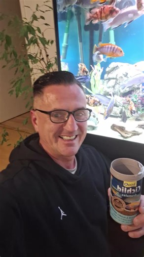 Cichlid Tank Setup Tips for African Cichlids