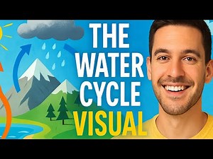 The Water Cycle: A Journey of Transformation