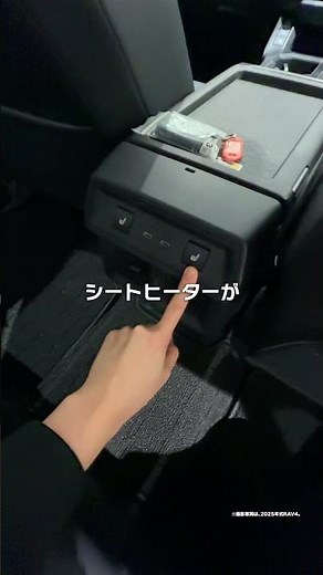 The back seats of the RAV4 are getting hot...!