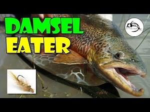 Fly Tying Tutorial: HUGE Tiger on the Balanced Damsel Fly