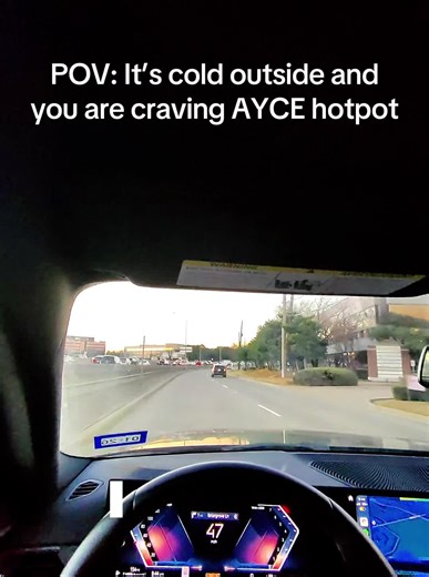 Top AYCE Hotpot Experience in Dallas