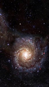 Everything in the universe w Brian Greene and Joe Rogan #reels2023 #reelsvideo #reelsfb #reelsviral #BrianGreene #science #physics #blackhole #universe | Third Eye Opener