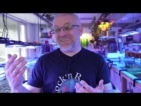 What do I need BEFORE getting started in aquariums? - Fauna Marin