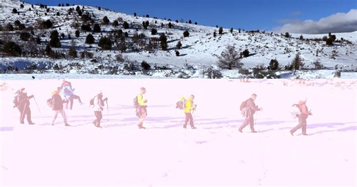 Reportages découverte - Saison 11 - Épisode 521 : Quête de l'amour mode d'emploi