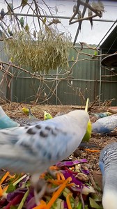 122K views · 7.9K reactions | Took me a while to figure out what made...