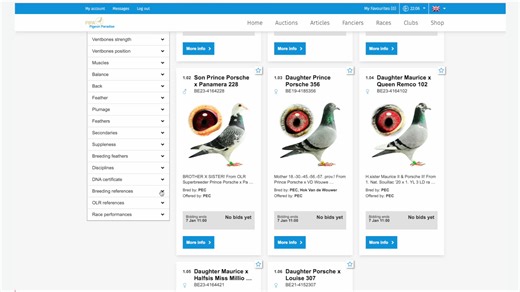 Today the first day of PIPA Elite Center's auction started on PIPA🤩. All pigeons of 2021 and older will be sold supplemented by youngsters of 2022 and 2023! Do you know the auction has a very handy filter function? 🧐 Get to know everything about it in the video below! | PIPA