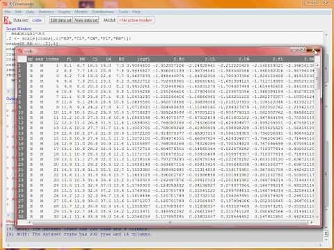 R Commander Data Manipulation and Summary