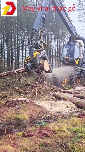 Đầu thu hoạch gỗ – Harvester Head #HarvesterHead #maycuago #LoggingLife #JohnDeere