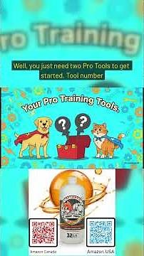 How to Teach Your Dog Fun Tricks Fast!