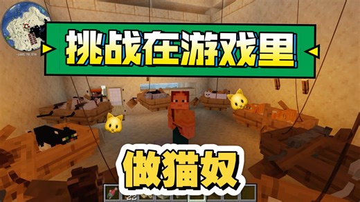 我的世界：榨干猫咪价值，每天白嫖一屋子礼物