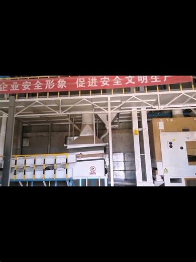 15 TPH Wheat & Rice Seed Production Line, Precision Cleaning & Gravity Separation