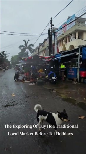 The Exploring Of Tuy Hoa Traditional Local Market