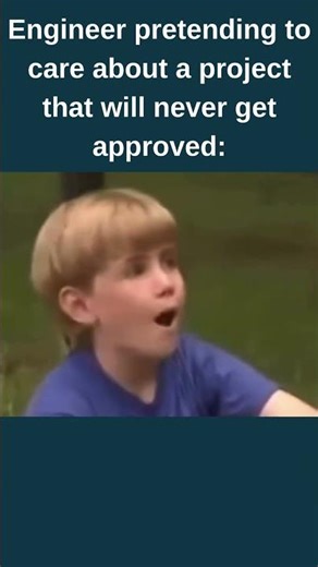 Engineer pretending to care about the project that will never get approved