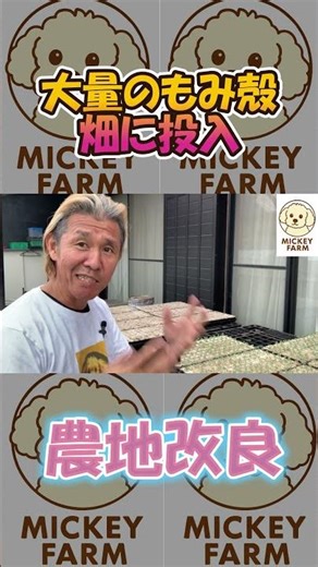 大量のもみ殻を畑に投入！全部無料です #農業 #新規就農 #農地改良