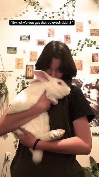 Adorable Albino Rabbits: Understanding Their Charm
