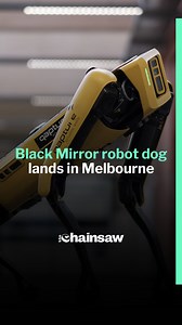1.2K views | Black Mirror's 'robot dog' has landed in Melbourne. Boston Dynamics' infamous robot assistants will be on display at the NGV from December 3, 2023 to April 7, 2024 as part of the NGV Triennial. #melbourne #ai #robot #reels | The Chainsaw | Facebook