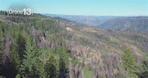 Placer County launches partnership to boost wildfire resilience in Foresthill