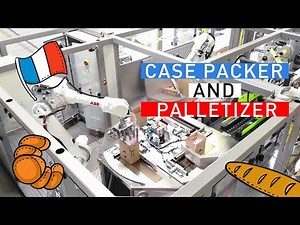 Case packer and palletizer