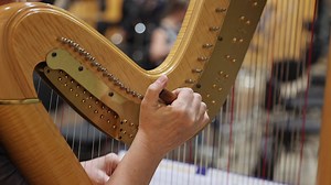 A person playing a harp with their hands
