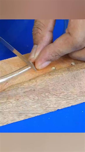 Cheat woodworking #shorts #reels | Tonell Greene