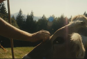 Alpsommer: Für Älpler und Landwirtschaftsmeister Ferdinand bedeutet das Freiheit, Ausgeglichenheit und eine enge Verbindung zu Natur, Tier und Familie. 🌾⛰ Weitere Geschichten findest Du unter 👉 https://www.oberstaufen.de/uifachmir | Oberstaufen/Allgäu