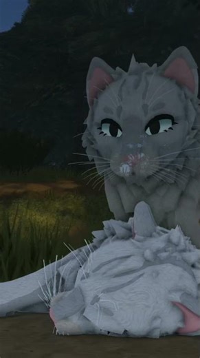 Characters: Falling Feather, JackDaw's Cry #warriorcats #roblox #wcue #edit #wc #edit