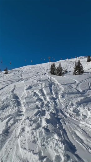 Snowboarding Adventures with Boom Kaji