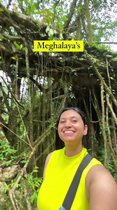 172K views · 4.6K reactions | Double Decker Living Root Bridge in Meghalaya #incredibleindia #meghalaya | Happy Groovy Lucky | Facebook