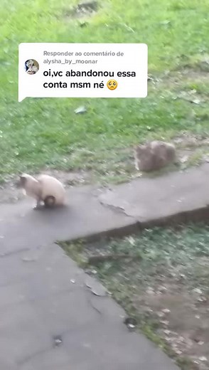 Respondendo a @alysha_by_moonar uma eu tô flopada😿