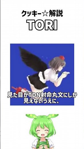 【クッキー☆解説】TORI #クッキー☆ #淫ク #例のアレ #解説 #解説動画