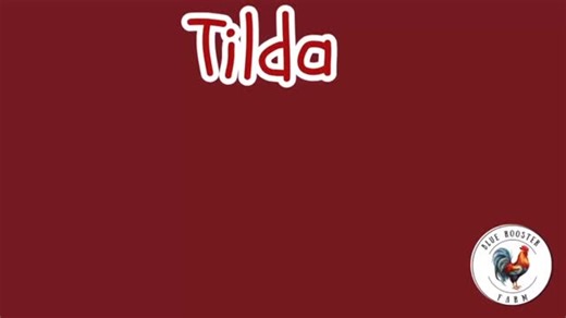 New Video Just Released: Tilda’s Winter Bird Stocking Tutorial Part 2!🥰🎄🎅🤶. Go to Blue Rooster Farm YouTube Channel to Watch: https://youtu.be/A4ShdsZMYdI?si=IbJhpjfimIJuTboJ. #tildafabric #tilda #tildaworld #christmas #blueroosterfarm23 #christmasstockings | Blue Rooster Farm