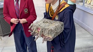 1.2M views · 8.2K reactions | Students from Hogwarts, Beauxbatons (France), and Ilvermorny (USA) show off the Monster Book of Monsters at Epic Universe. Details of the new Wizarding World, opening May 22 in Orlando: https://buff.ly/7xzQ9I8 | Attractions Magazine | Facebook
