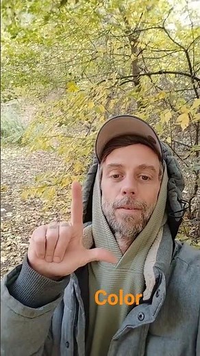 ✌🏾 color . how to sign the word colour in ASL American sign language. color ✌🏾✌🏻🤟🏿✌🏿✌️🤝🤟🏼🤟