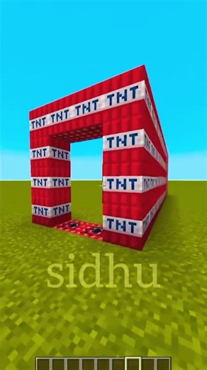 😱 What Happens Inside a TNT Portal?
