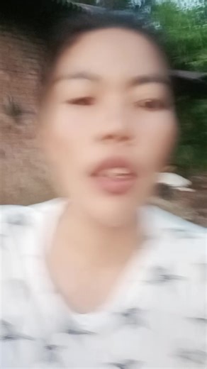 Cara Sukses Peternakan Babi di Indonesia