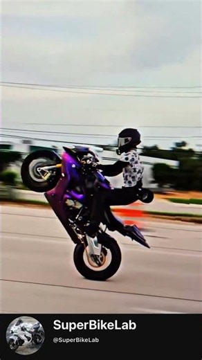 🔥 Ducati Multistrada Cornering Like a Boss 😱🏍️ #ducati #bmw #yamaha