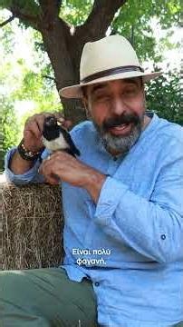 Από εδώ η Ρίτα 🐦‍⬛ Η αξιολάτρευτη καρακάξα που βρήκε στέγη στο κτήμα μας🌳😌