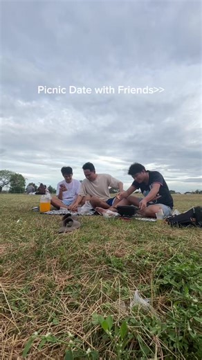 this is your sign to go on a picnic with your favorite people 🌿✨ #picnic #friends