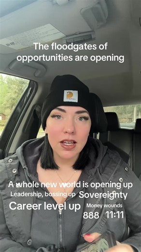 Divine Crystal Guide △ ☽ △ (@divinecrystalguide)’s video of Leadership Motivation