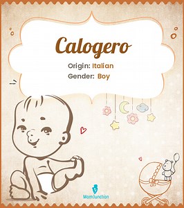 Calogero Name Meaning, Origin, History, And Popularity