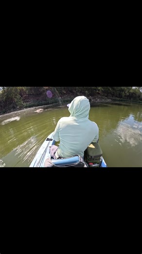 Best Baits for Largemouth Bass Fishing