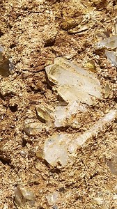 4.4K views · 176 reactions | Grand Opening Event this weekendYou...